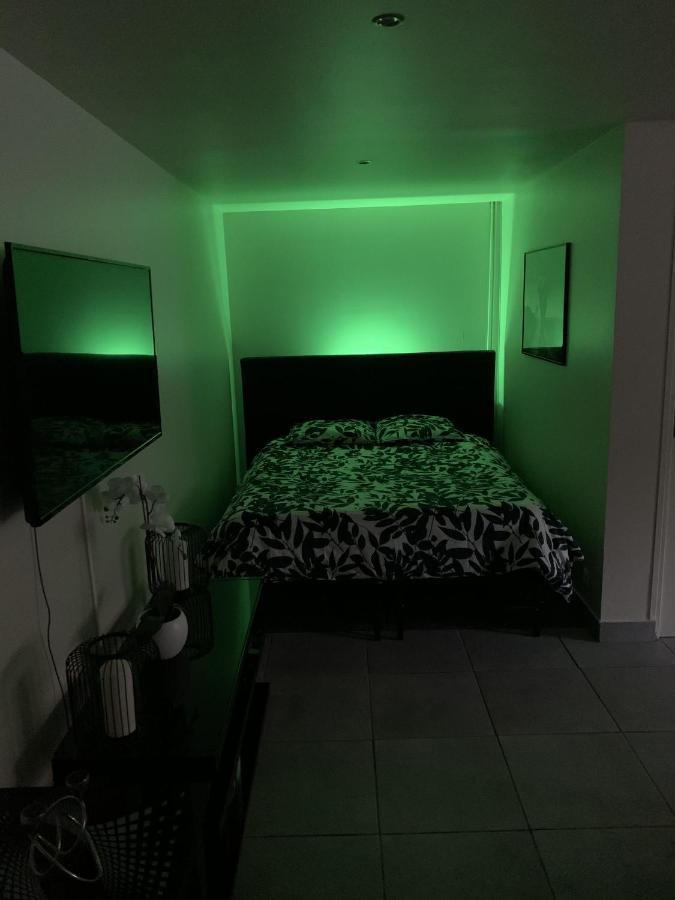 Appartement Cosy Proche Roissy Cdg Asterix Disneyland Paris グッサンヴィル 部屋 写真