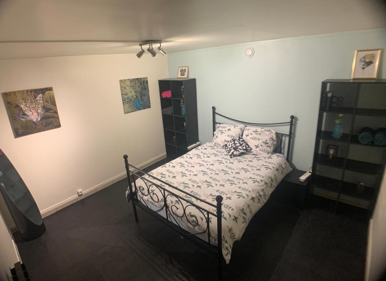 Appartement Cosy Proche Roissy Cdg Asterix Disneyland Paris グッサンヴィル エクステリア 写真